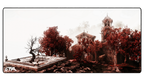 Church of Benediction