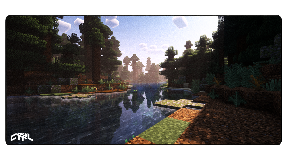 Dark Oak Forest