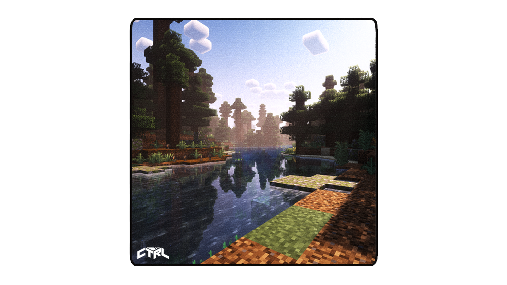 Dark Oak Forest