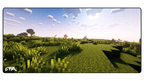 Grass
