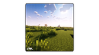 Grass